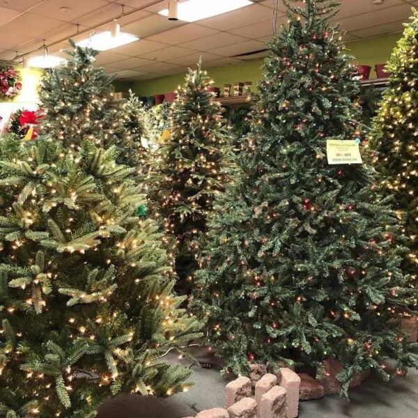 Bulk Christmas Tree Sales | Christmas Tree Liquidation Sale