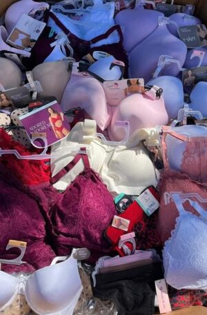 Bras and Panties Liquidation Pallet